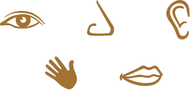 5-senses